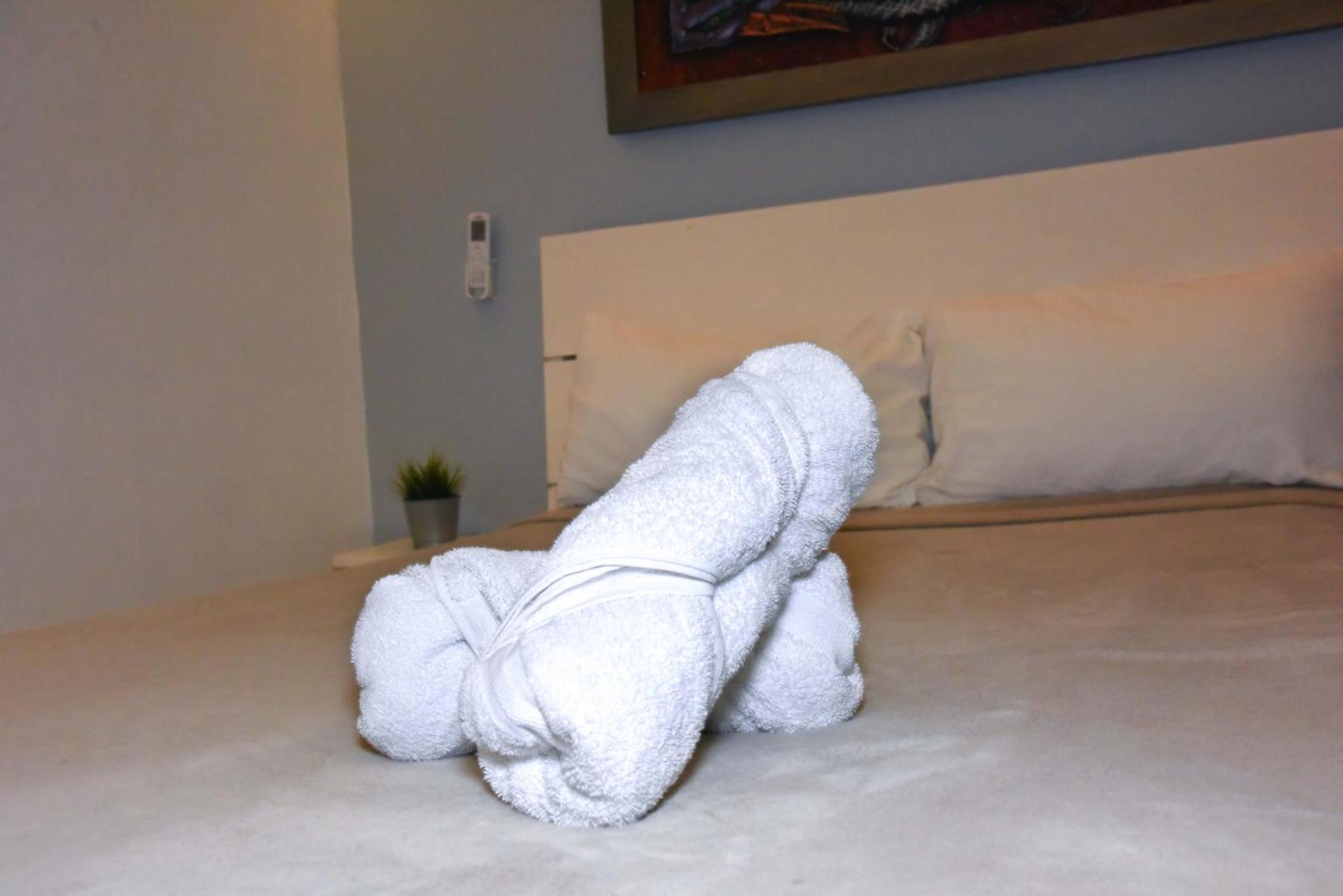 Hostel Gato Colonial Santo Domingo Luaran gambar